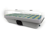 Extra-large, light-gray plastic box, with rounded edges, 144 holes for collars, and a clear plastic humidity dome on top.