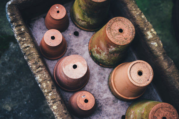 Herb Gardening 101