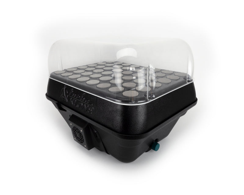 Medium sized, black plastic box, with rounded edges, 48 holes for collars, and a clear plastic humidity dome on top.